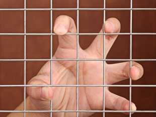 泰润网业——不锈钢防护网