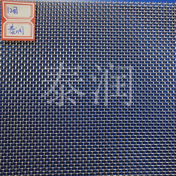 12目不锈钢丝网